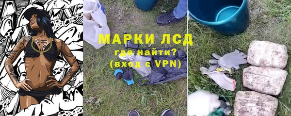 эйфоретик Каменка