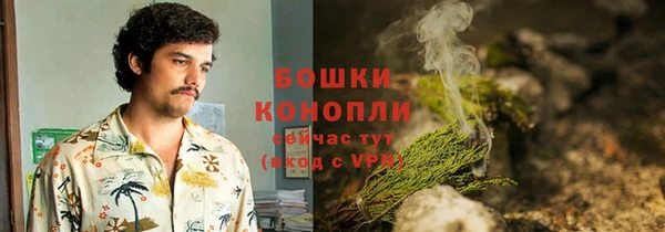 гашик Пестово