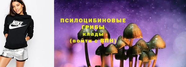 эйфоретик Каменка