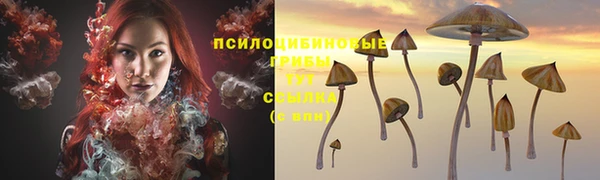 эйфоретик Каменка