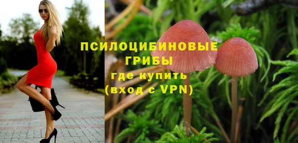 меф Каменногорск