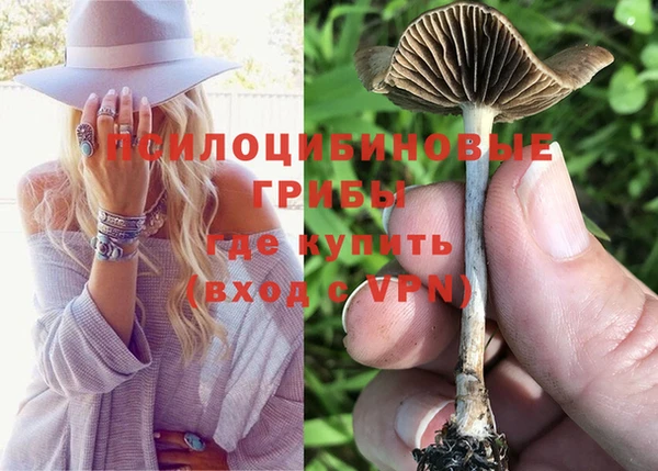 меф Каменногорск