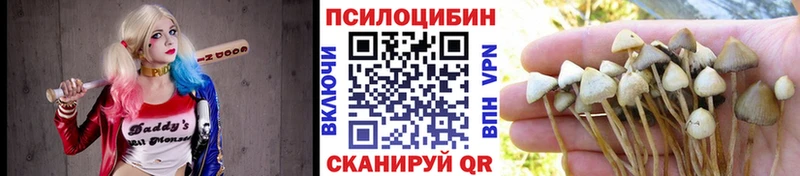 Купить где  Заречный  Псилоцибиновые грибы MAGIC MUSHROOMS 